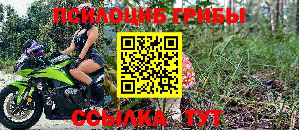 Псилоцибиновые грибы MAGIC MUSHROOMS Гудермес